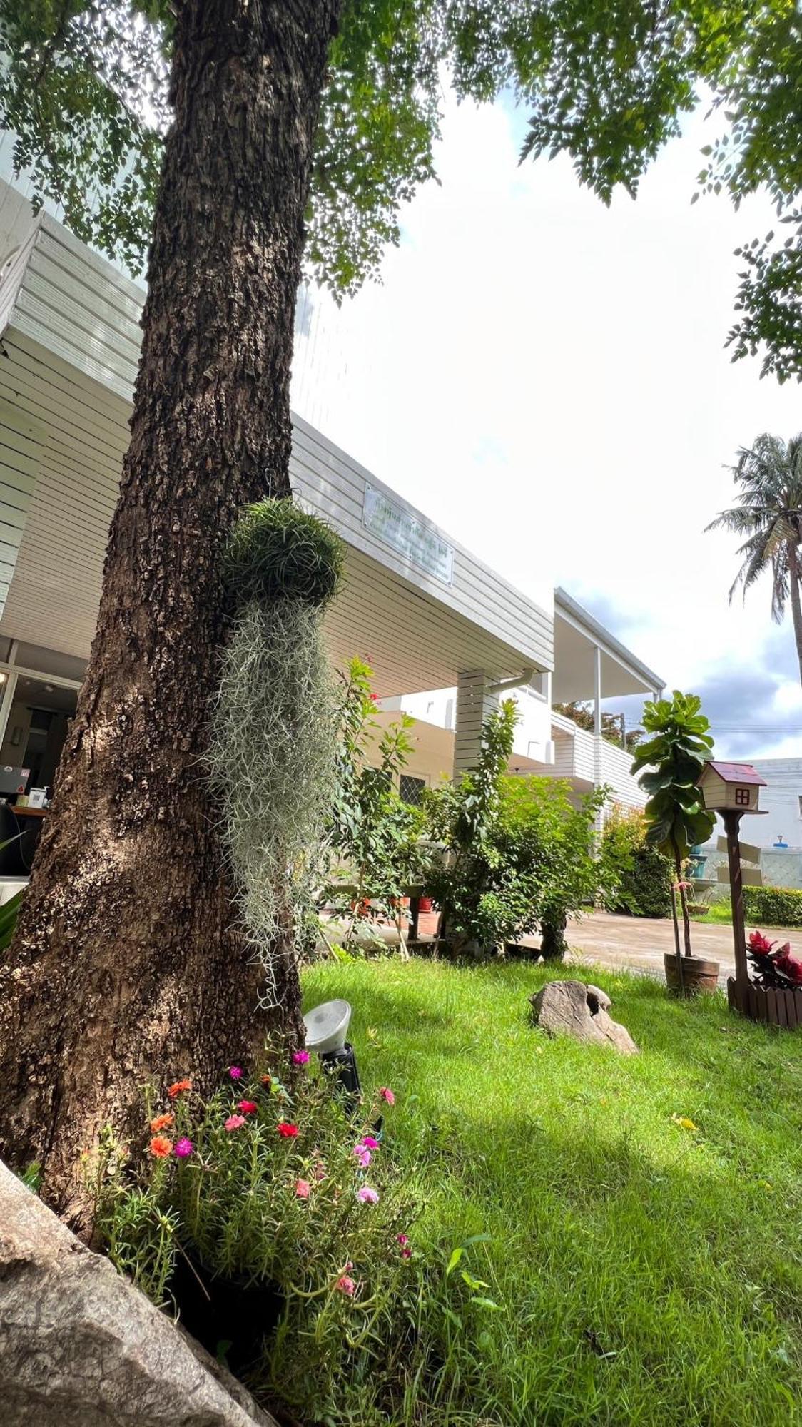 Udee Cozy Hotel チエンマイ エクステリア 写真